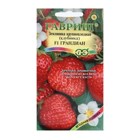 Strawberries "Grandian", F1, 5 pcs-2