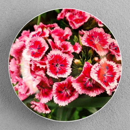 Decorative plate "Flowers", D = 17.5 cm-2
