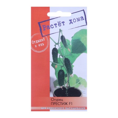Seeds "Growing at home!" Cucumber prestige, F1 5 pcs.