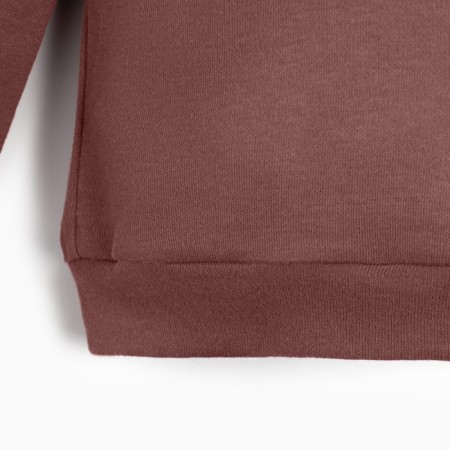 Kidsa (sweatshirt, shorts) minku, brown color, height 86-92 cm-9