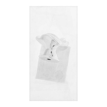 Handle button Cappio Rose 01, white with silver-2