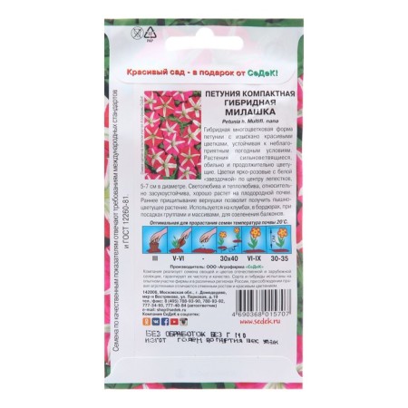 Flowers of Petunia "Milashka", Euro,-1