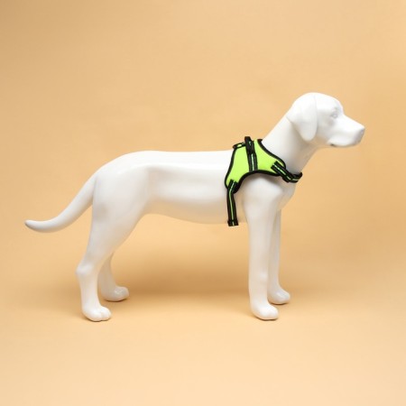Cloll improved K7 soft reflective, size L, OG 64-86 cm, weight 18-27.5 kg, green-3