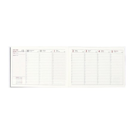 The weekly dated 2025, Escalada "Snake", 180 x 127 mm, soft cover, PVC, 64 sheets, block 70, metallic-11