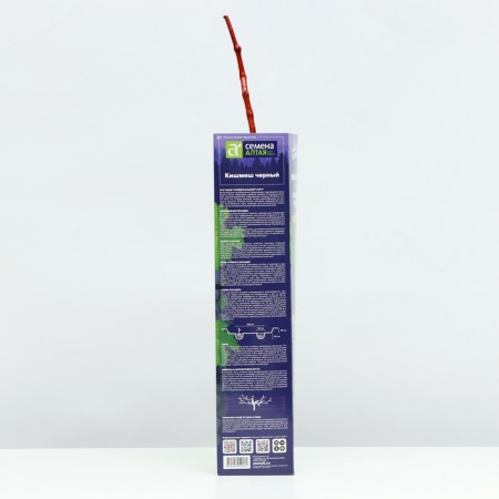 Grapes are black, spring 2024, 1 pc.-2