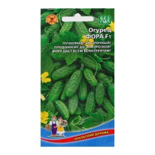 Seeds of cucumber 
