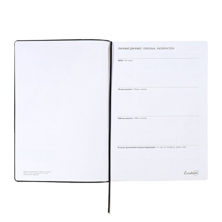 Dated 2025 diary, Escalada, A4, 120 sheets, soft cover, artificial leather, foil embossing, liesse, block 80 g/m2, black-4