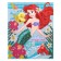 Diamond mosaic, 20x25 cm, princesses
