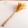 Set of dried flowers "Weinik", banch length 60 (+/- 6 cm), natural