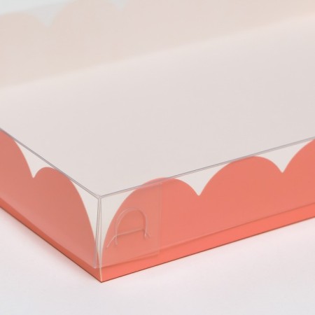 Box for cookies, pink, 22 x 15 x 3 cm-1