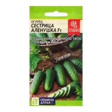 Cucumber sister seeds Alyonushka F1/Sem Alt/CP 0.3 gr,