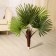Artificial Palma tree 70 cm