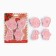 New Year. A set of cookies "Parcel from Santa Claus", plastic, 4 pcs