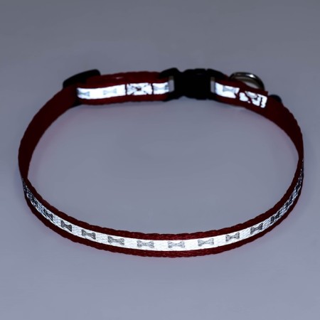 The collar of a reflective with paws 30 x 1 cm, kapron, mix of flowers-9