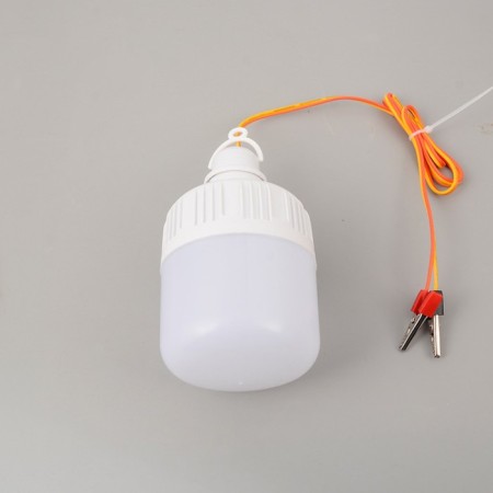Camping lamp, 10 W, SMD 2835, cable L-1.5 m, with a clamp from 12 V, D-7 cm-3