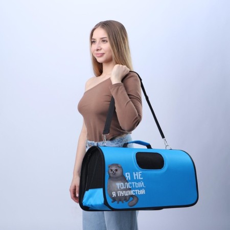 Cracking bag folding, frame "I'm not fat" 52x22x29 cm-7