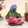 Figure "Dragon in the Flower" 11.5x10x10.5cm