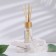 Set of diffusers "fried coffee" for 10 ml, 2 pcs