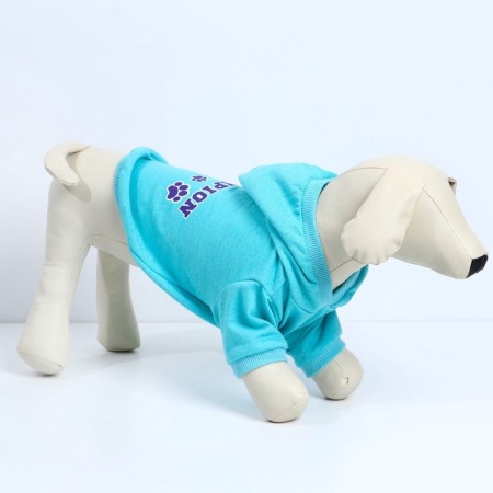 CHAMPION Holstery for dogs (footer), size S (DS 23, Osh 32-34, OG 40-44), Blue-5