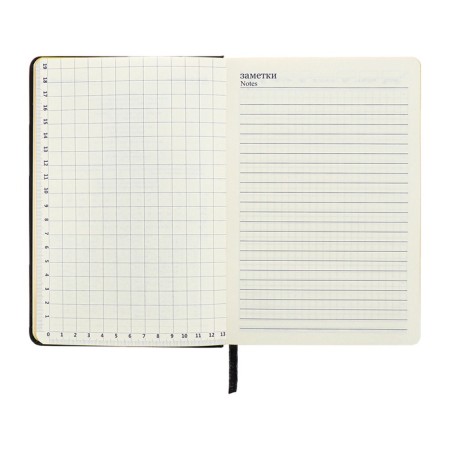 Leduced Diary A5, 140l, Cage, leatherette, elastic band, yellow cut, black-10