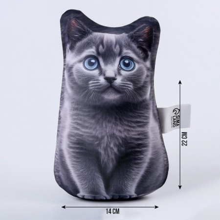 Antistress toy "Cat Russian Blue"-1
