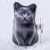 Antistress toy "Cat Russian Blue"