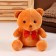 Soft toy "Bear" with a bow, 20 cm, brown color