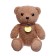 Soft toy "Bear with a medal", color mix
