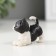 Polystone souvenir "Black and white kitten" mix 2.2x3x4.4 cm