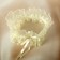 Garter for the bride "Elites", Ivory