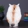 Piggy bank "Eagle Filya" 13x13x20cm