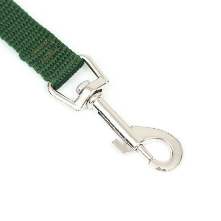 Leash 5 m x 1.5 cm, green-1