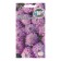Flower seeds Iberis "Alexandrite", Euro, 0.1 g