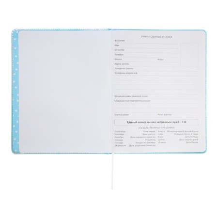 Universal diary for grade 1-11 Cool Girl, hard cover, artificial leather, silkography, lies, 80 g/m2-4