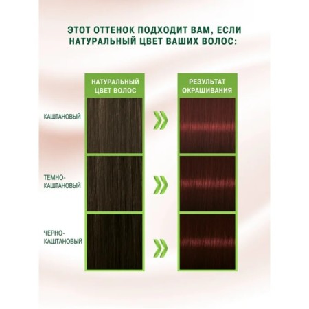 Hair dye Palette Naturals, 3-68 chocolate-chestnut, 110 ml-6