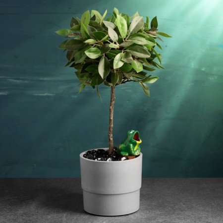 Wenter for indoor and garden plants "Frog" Kungur ceramics, 50ml, 4cm, green-1