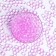 Aquagrunt Fuchsia, 50 g