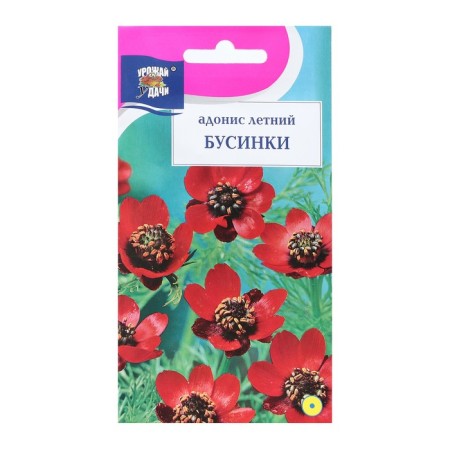 Flower seeds Adonis summer "beads", 0.1 g