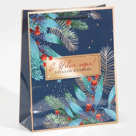 Laminated vertical package “Make desire”, MS 18 x 23 x 8 cm, New Year-2