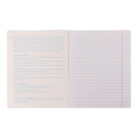 Subject notebook, 48 sheets in the ruler, Whatsbook, for essays, covered cardboard, embossing, with reference information-1