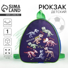 Baby backpack for the boy 