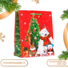 Gift Package 