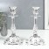 Summary Metal "Ludwig" set 2 pcs Color silver 19x10x10 cm