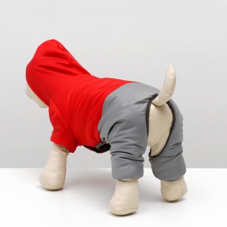 Zimovye jumpsuit for animals "duet", XL (DS 32-34, Osh 32, OG 40-44 cm), red-gray-2