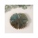 Souvenir Ceramics stand "Sheet half -sun" Green gloss 13x14.5x1.5 cm