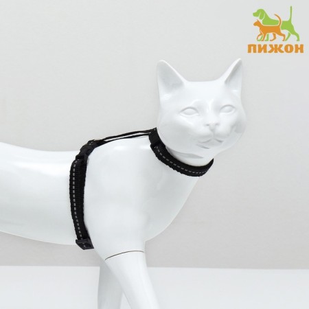 Cat for cats, width 1 cm, reflective, Osh 16.5-27 cm, fire 21-35 cm, black