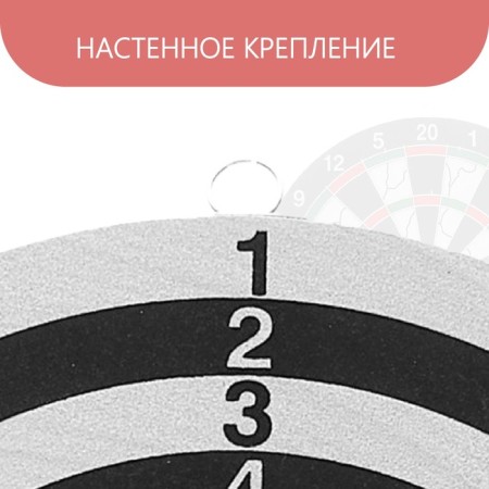 Darts, d = 30 cm, 4 darts-2