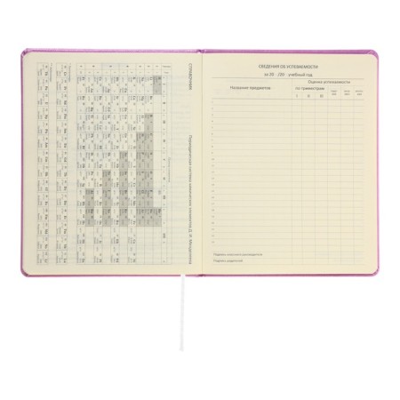Universal Diary for Butterfly 1-11 grade, solid cover, artificial leather, foamy, foil embroidery, liesse, 80 g/m2-11