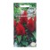 Flower seeds CEOPE "Turkish March", Euro, 0.1 g