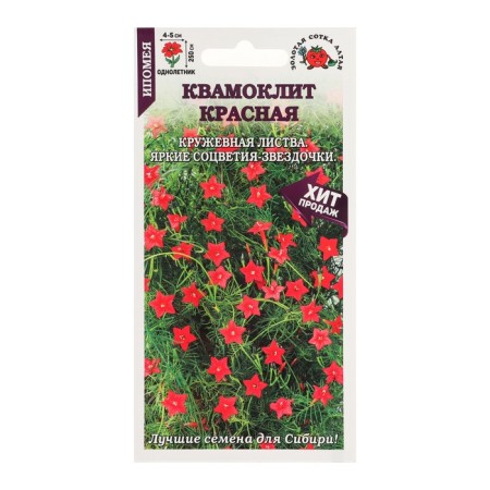 Flowers of the Ipomue "Kvamomlit Red", 0.3 g-2